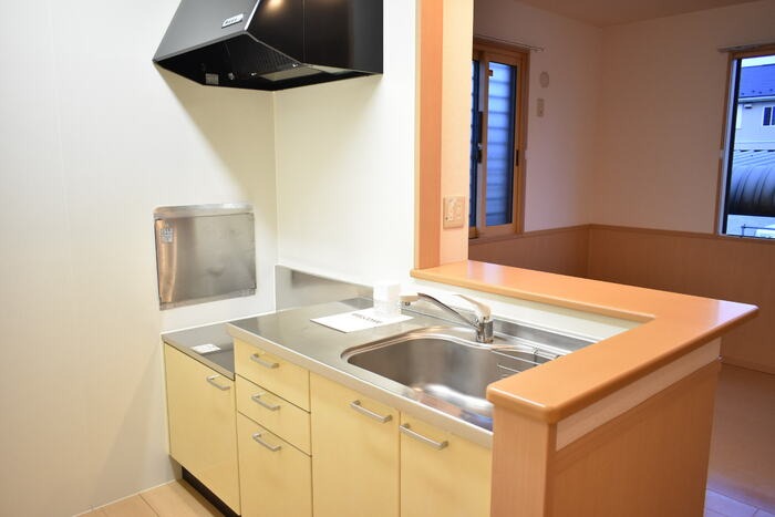 ��ʌ��������܎s����厚���V�n�̃A�p�[�g�̃L�b�`��