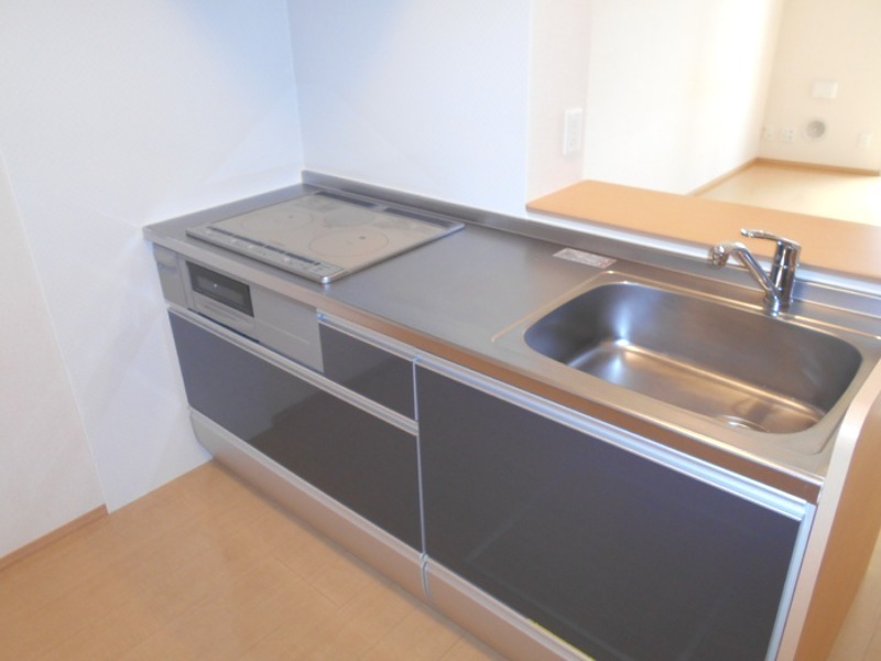 ��ʌ��z�J�s���C�N�^�E���U���ڂ̃A�p�[�g�̃L�b�`��