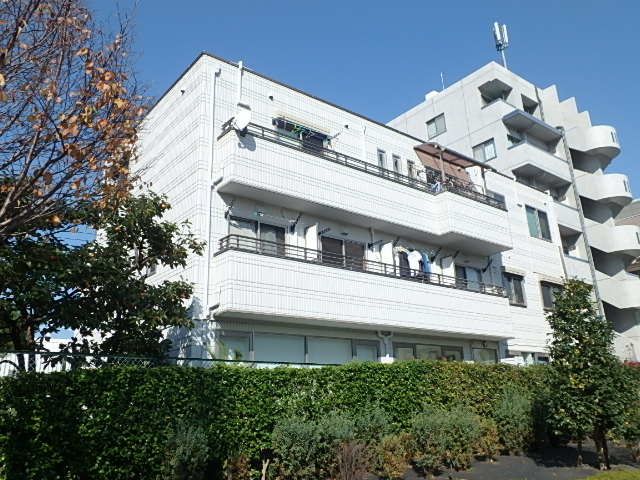 ��ʌ��������܎s��{��g�~���S����248�̃}���V�����̌����O��