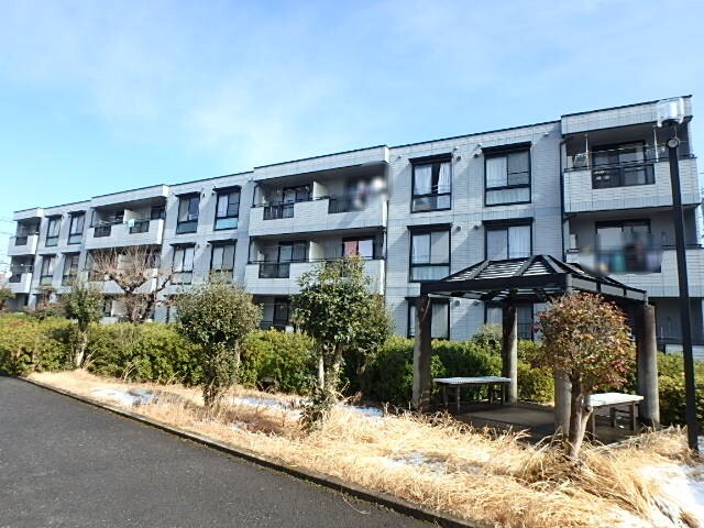 ��ʌ��������܎s�k��{�����Q����119-3�̃A�p�[�g�̌����O��