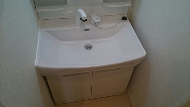 ��ʌ�����s�厚�O��h�̃A�p�[�g�̐��ʏ�