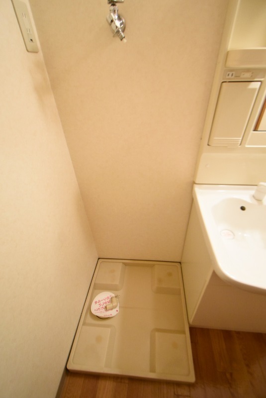 ��ʌ�����s�厚�����q��V�c�̃}���V�����̂��̑�