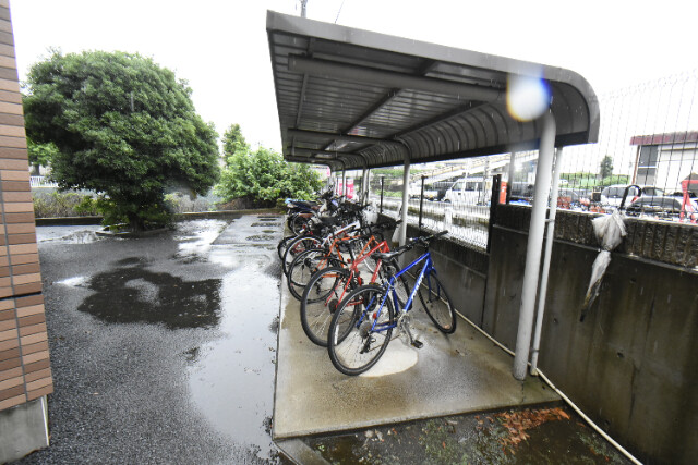 ��ʌ�����s�厚�����q��V�c�̃}���V�����̂��̑�