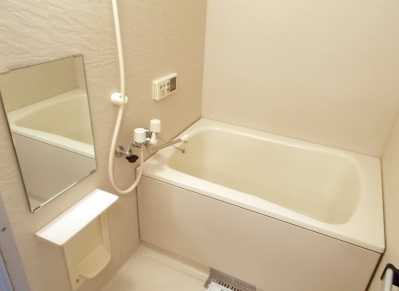 ��ʌ�����s�厚���~�J�̃A�p�[�g�̃o�X