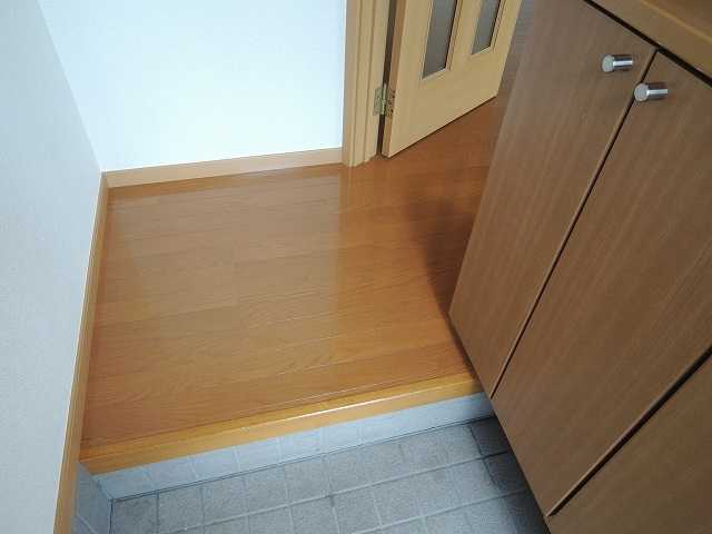 ��ʌ�����s�厚���~�J�̃A�p�[�g�̌���