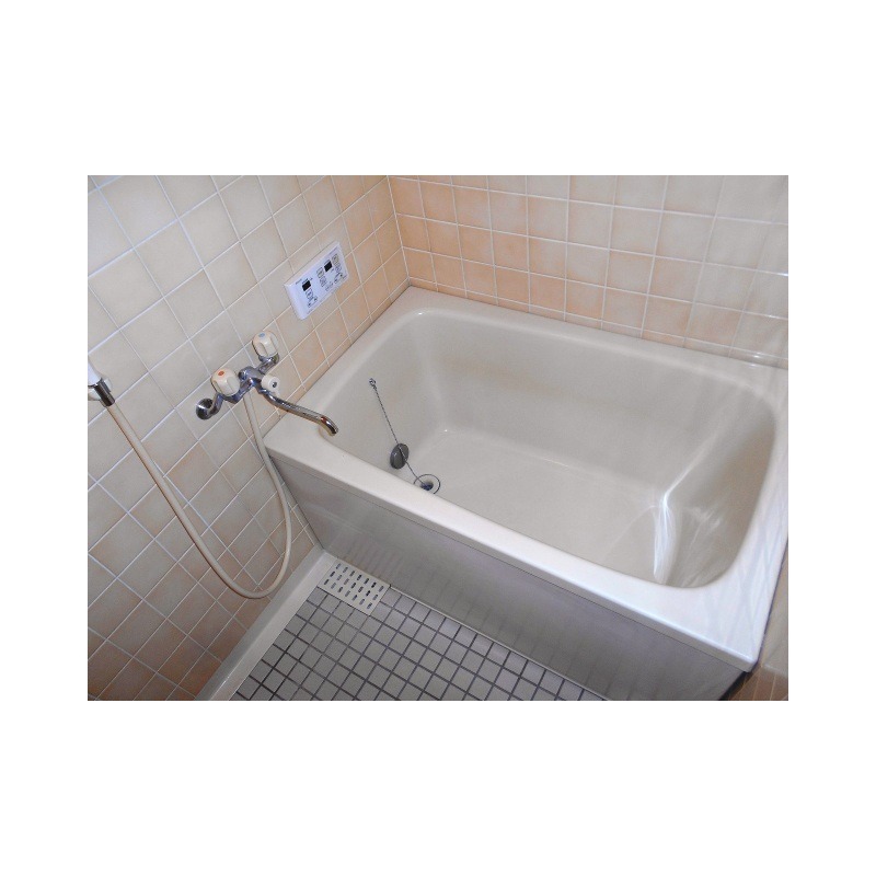 ��ʌ�����s�厚���s�̍��݂̃A�p�[�g�̃o�X