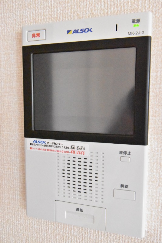 ��ʌ�����s������S���ڂ̃}���V�����̂��̑�