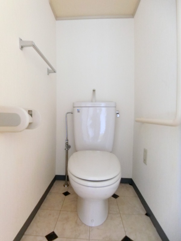 ��ʌ������s�����S���ڂ̃}���V�����̃g�C��