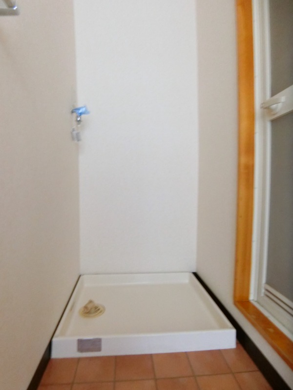 ��ʌ������s�����S���ڂ̃}���V�����̂��̑�