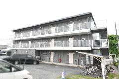 ʌ܎s厚_c50-3̃}V̌O