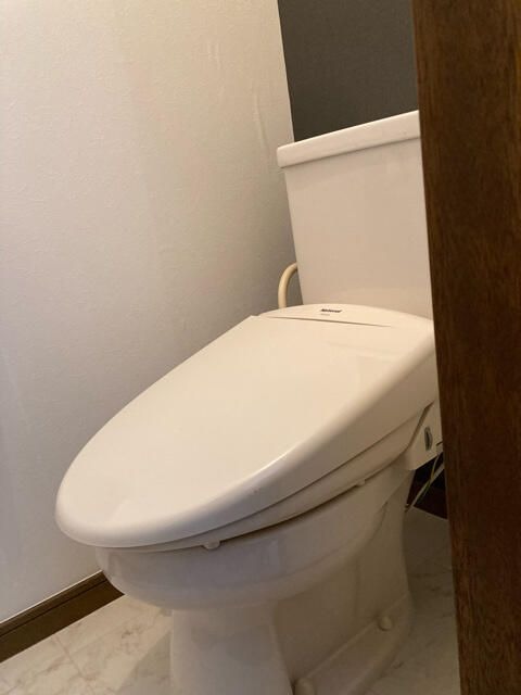 ��ʌ��������܎s����厚�w��̃A�p�[�g�̃g�C��