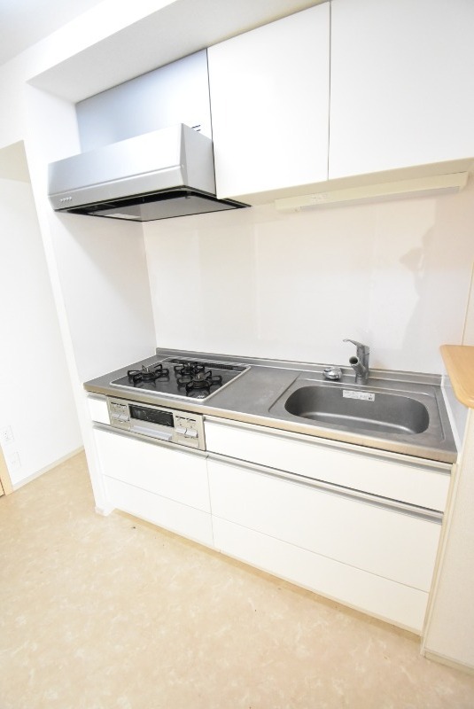 ��ʌ��������܎s����厚�w��̃}���V�����̃L�b�`��