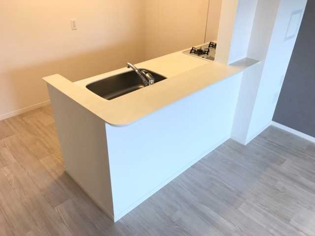 ��ʌ��������܎s�΋�Ō��Q���ڂ̃A�p�[�g�̃L�b�`��