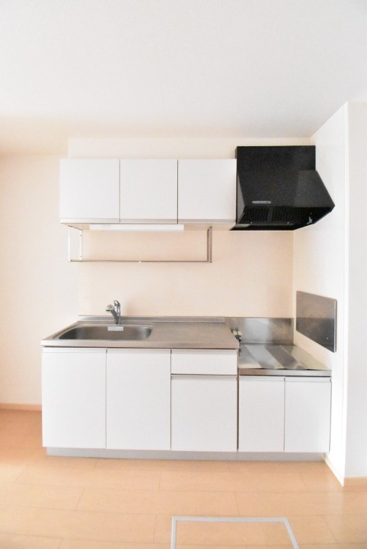 ��ʌ������s���h�P���ڂ̃A�p�[�g�̃L�b�`��