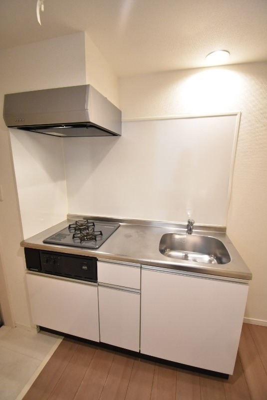 ��ʌ��������܎s�k����i���Q���ڂ̃A�p�[�g�̃L�b�`��