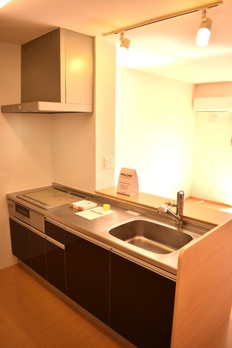 ��ʌ��������܎s����{�O���̃A�p�[�g�̃L�b�`��