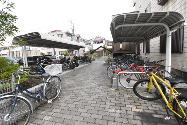 ��ʌ��������܎s���厚��J���̃}���V�����̂��̑�