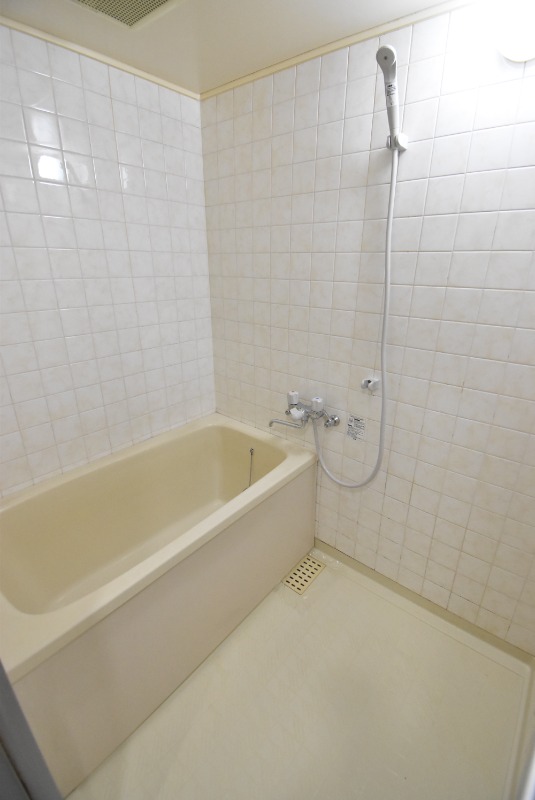 ��ʌ�����s�厚���s���̃}���V�����̃o�X