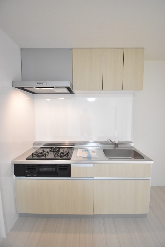 ��ʌ�����s�厚���s���̃}���V�����̃L�b�`��