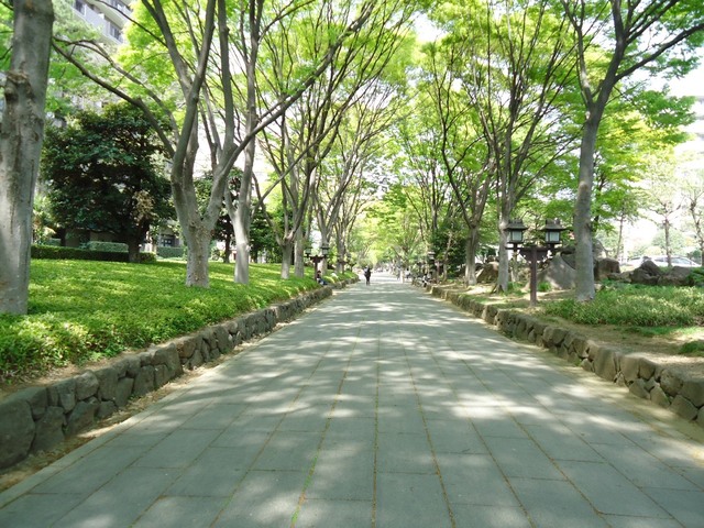 ��ʌ��������܎s��{�捂�@���P���ڂ̃A�p�[�g�̎���