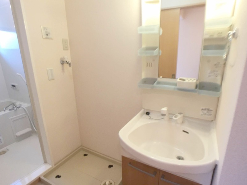 ��ʌ������s�V�P���̃A�p�[�g�̐��ʏ�