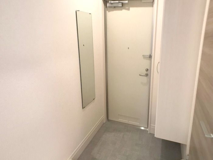 ��ʌ��z�J�s���C�N�^�E���T���ڂ̃A�p�[�g�̌���