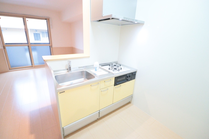 ��ʌ��������܎s�k��ޗǒ��̃A�p�[�g�̃L�b�`��