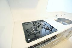 ��ʌ��z�J�s���C�N�^�E���W���ڂ̃}���V�����̃L�b�`��