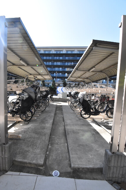 ��ʌ��z�J�s���C�N�^�E���W���ڂ̃}���V�����̂��̑�