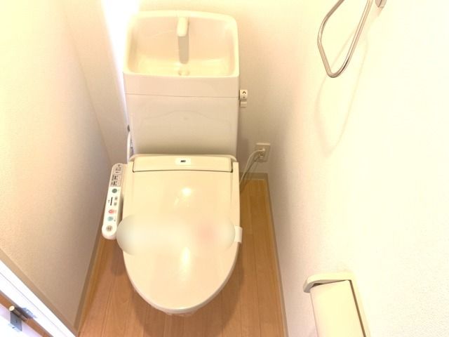 ��ʌ��z�J�s�ԎR�{���̃}���V�����̃g�C��