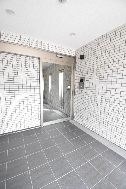 ��ʌ��z�J�s�ԎR�{���̃}���V�����̂��̑�