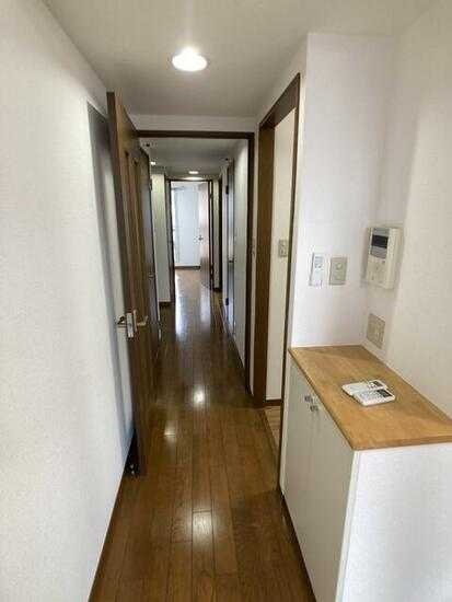 ��ʌ��������܎s��{��g�~���S���ڂ̃}���V�����̌���