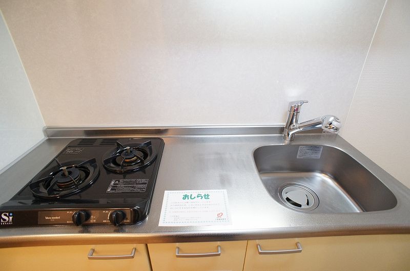 ��ʌ�����s�����Q���ڂ̃A�p�[�g�̃L�b�`��