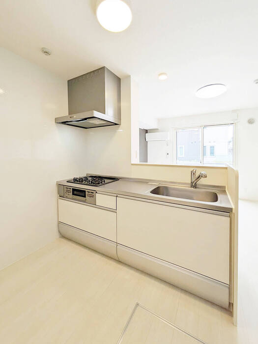 ��ʌ��z�J�s���C�N�^�E���U���ڂ̃A�p�[�g�̃L�b�`��