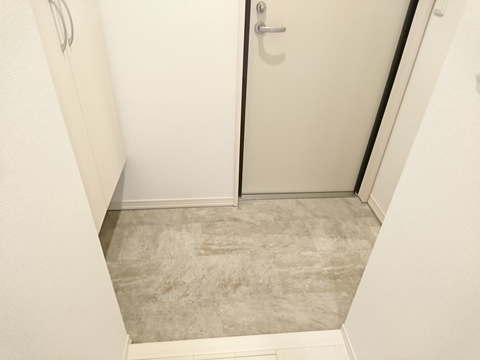 ��ʌ��z�J�s���C�N�^�E���X���ڂ̃A�p�[�g�̌���