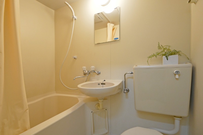 ��ʌ��V���s�r�c�T���ڂ̃A�p�[�g�̐��ʏ�