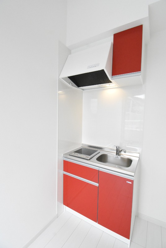 ��ʌ��n�s�ˉz�P���ڂ̃A�p�[�g�̃L�b�`��