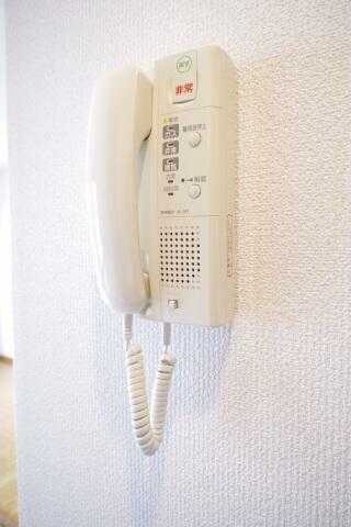 ��ʌ�����s�厚���̃}���V�����̂��̑�