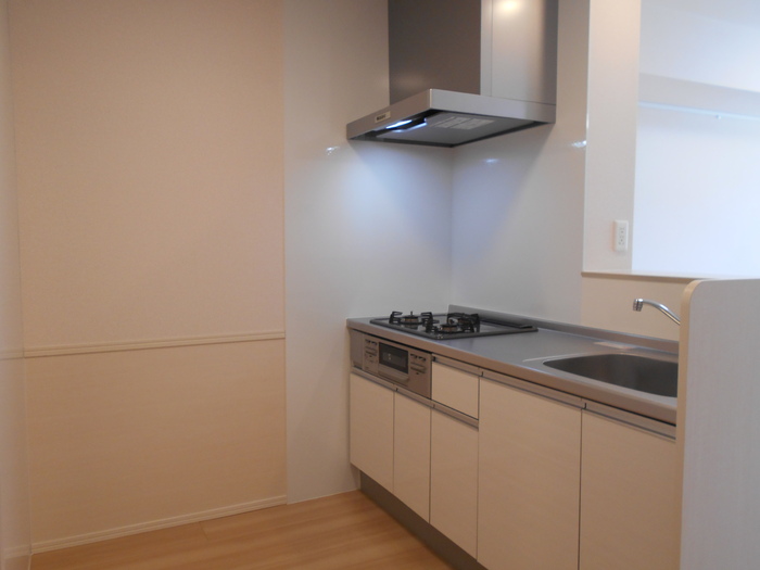 ��ʌ��z�J�s���C�N�^�E���X���ڂ̃A�p�[�g�̃L�b�`��