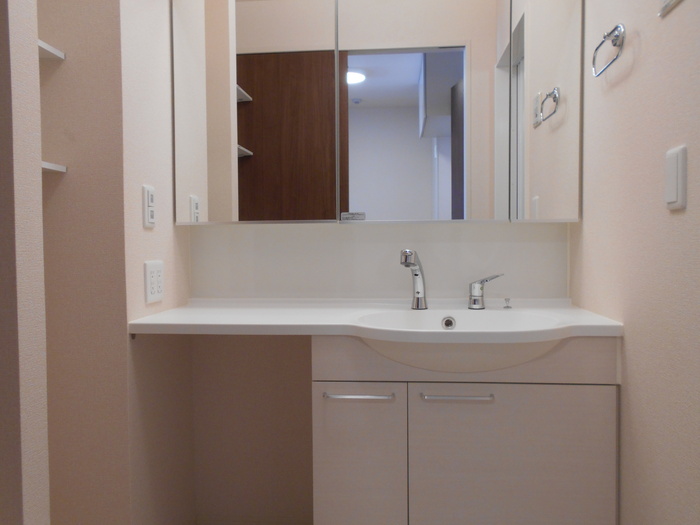 ��ʌ��z�J�s���C�N�^�E���X���ڂ̃A�p�[�g�̐��ʏ�