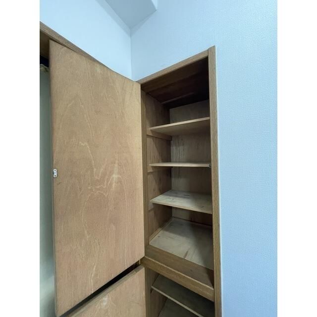 ��ʌ�����s�厚�ؑ]�C�̃}���V�����̂��̑�