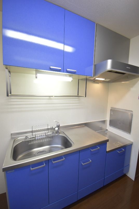 ��ʌ��������܎s�k����i���Q���ڂ̃A�p�[�g�̃L�b�`��