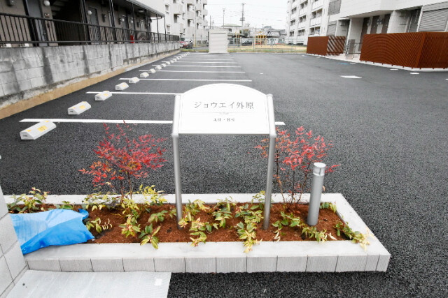 ��ʌ��F�J�s�E�Z�Ԃ̃}���V�����̂��̑�