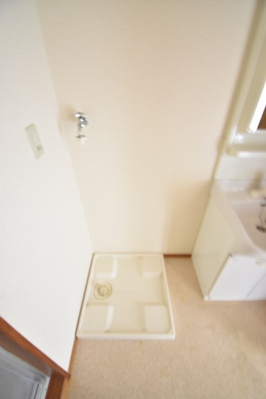 ��ʌ������s�����U���ڂ̃}���V�����̂��̑�