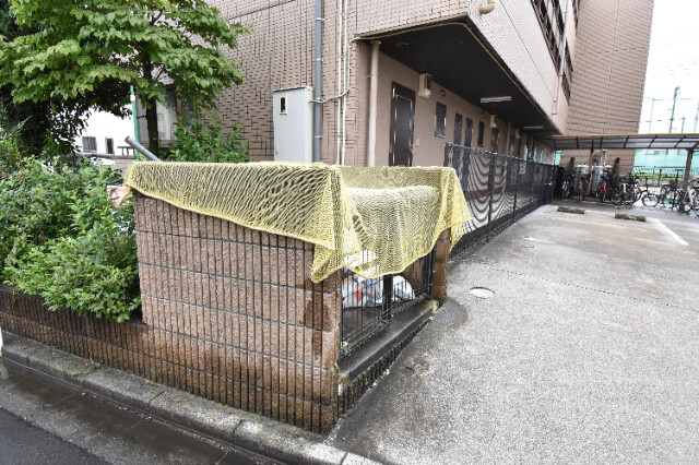 ��ʌ������s�����U���ڂ̃}���V�����̂��̑�