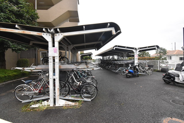 ��ʌ�����s�厚������̃}���V�����̂��̑�