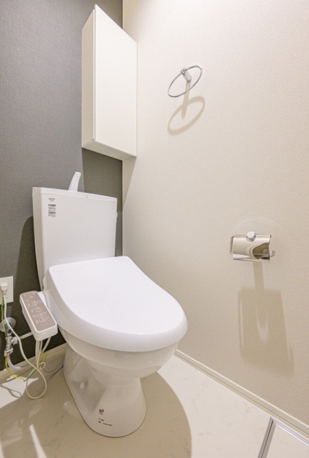 ��ʌ������s�����S���ڂ̃}���V�����̃g�C��