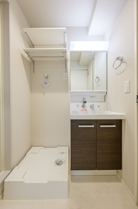 ��ʌ������s�����S���ڂ̃}���V�����̐��ʏ�