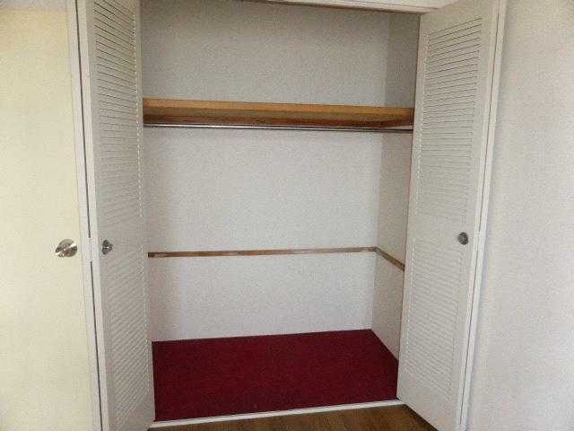 ��ʌ��������܎s������厚�쒆��̃}���V�����̎��[