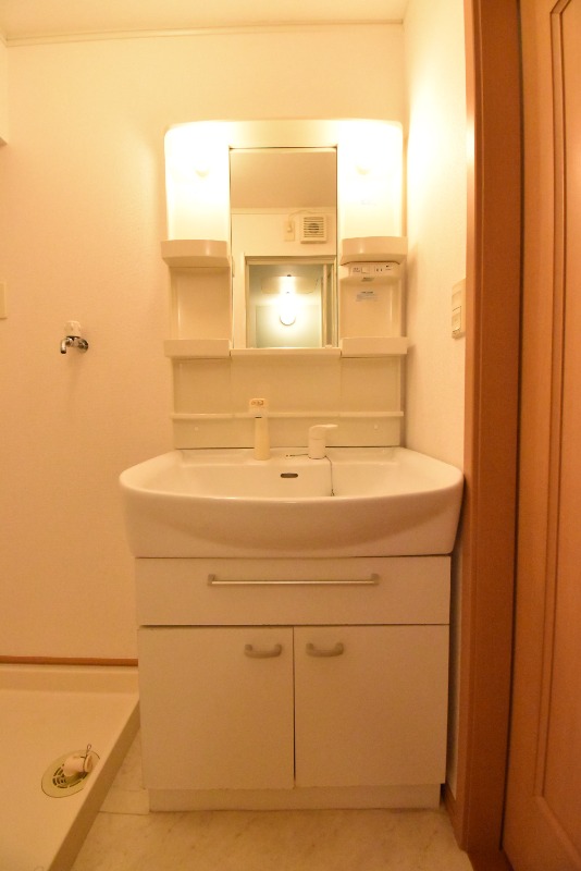 ��ʌ�����s�厚�ΐ_�̃A�p�[�g�̐��ʏ�